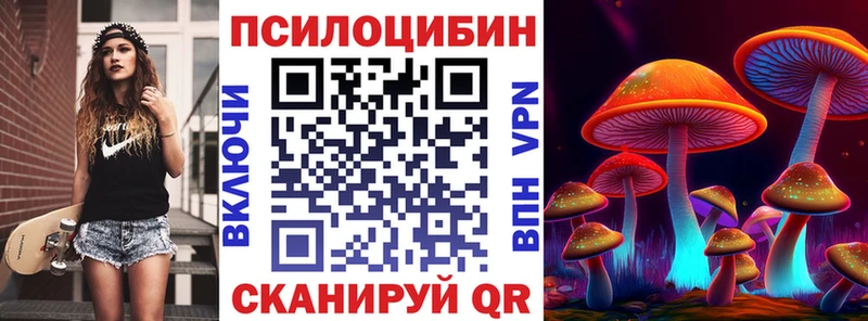 Псилоцибиновые грибы GOLDEN TEACHER  сайты даркнета Telegram  Багратионовск 